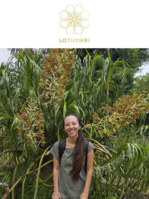 FYI: embarrassing share inside email from Lotus Wei