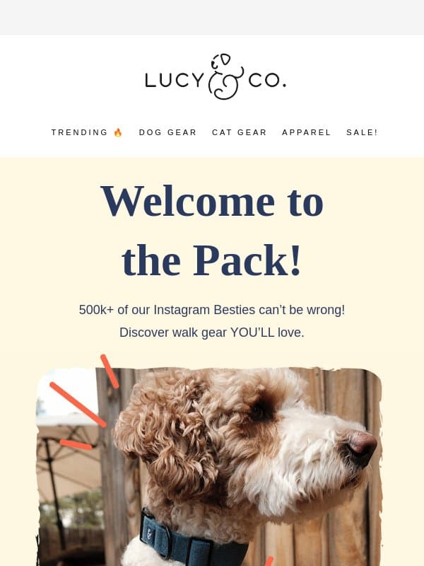 Here's that 15% off we promised!! 💸 email from Lucy & Co.