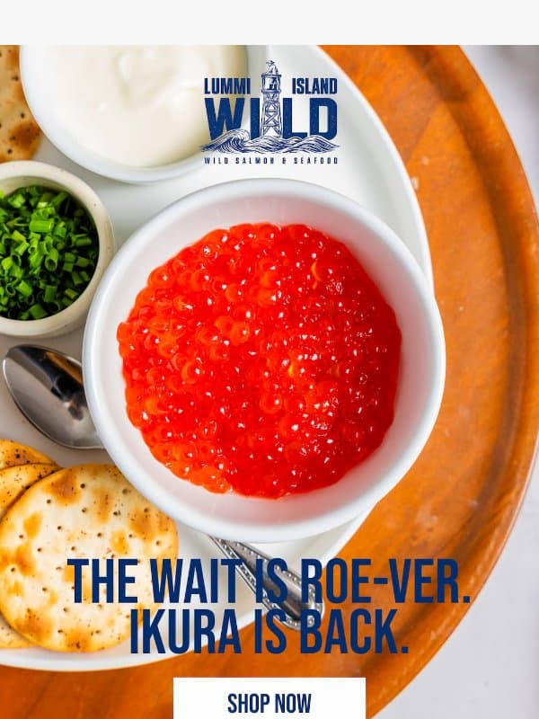 The wait is roe-ver. Ikura is back. email from Lummi Island Wild