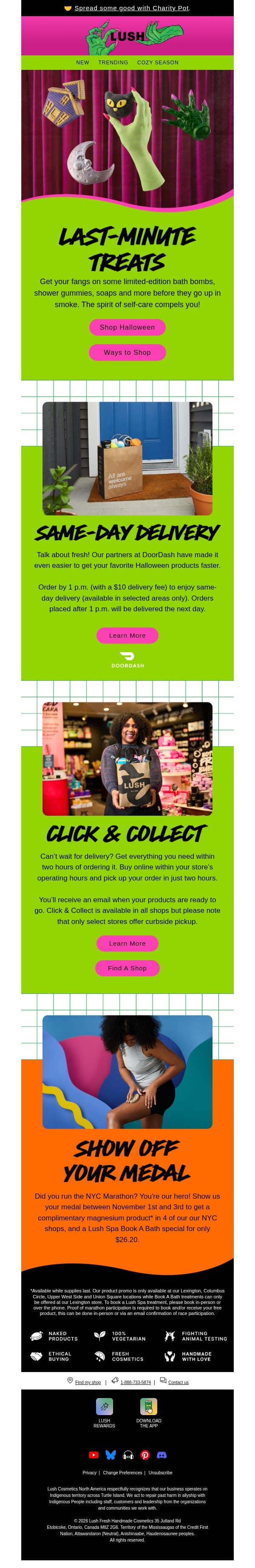 Last-minute treats π email from Lush screenshot