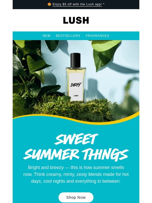 π΄ Smells like summer email from Lush
