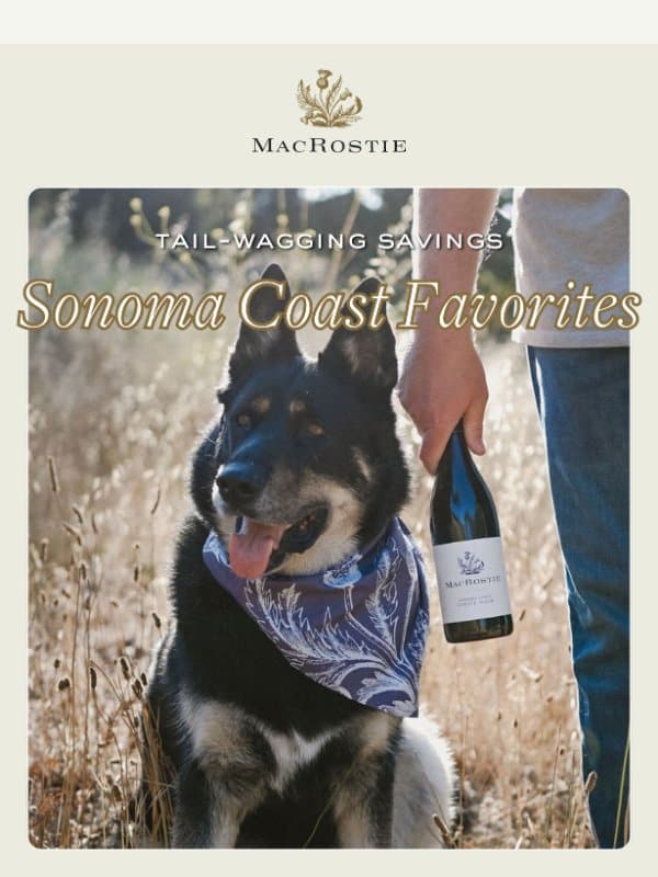 Fetch Your Sonoma Coast Savings + Complimentary Bandana 🐶 email from MacRostie Winery