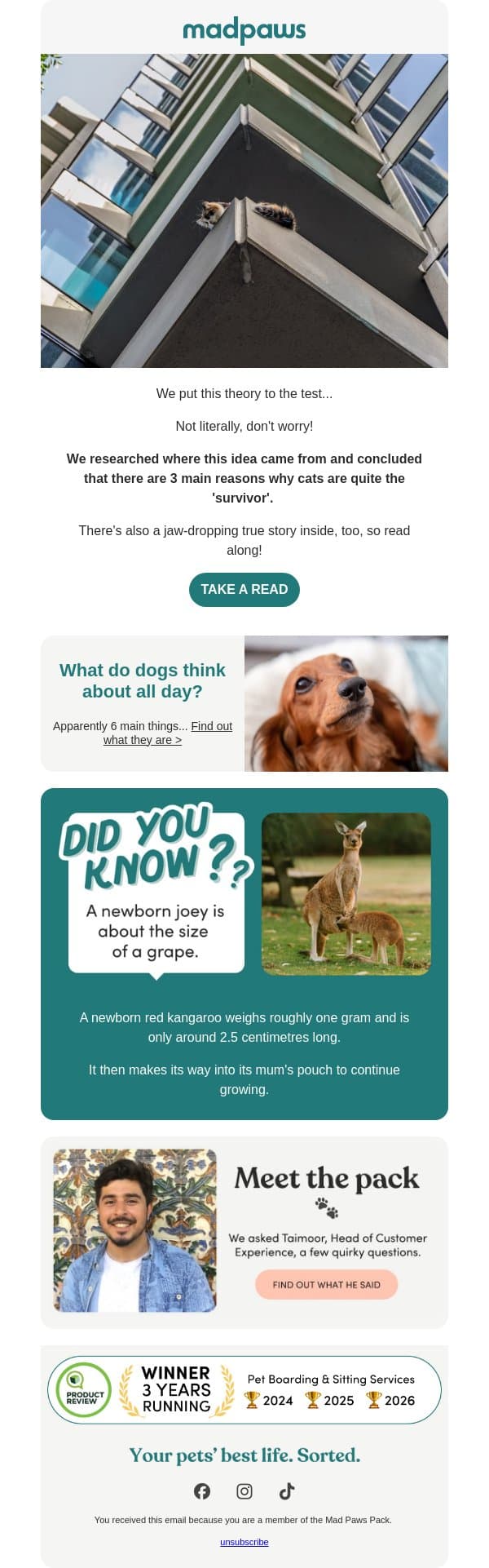 Do cats reallllllllly have nine lives Adam? email from Mad Paws screenshot