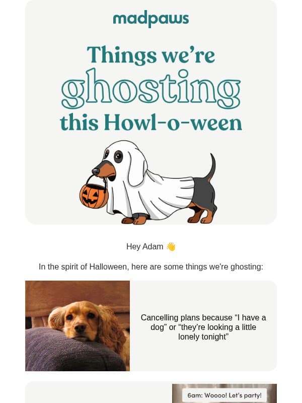 5 things we're ghosting this Howl-o-ween 🧛🏽 email from Mad Paws