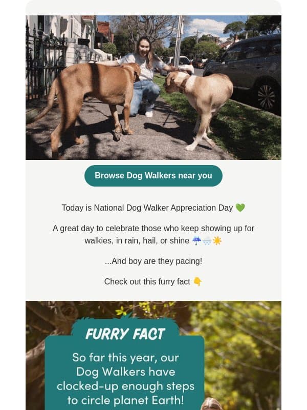 One whole lap around planet Earth 🌏😮 email from Mad Paws