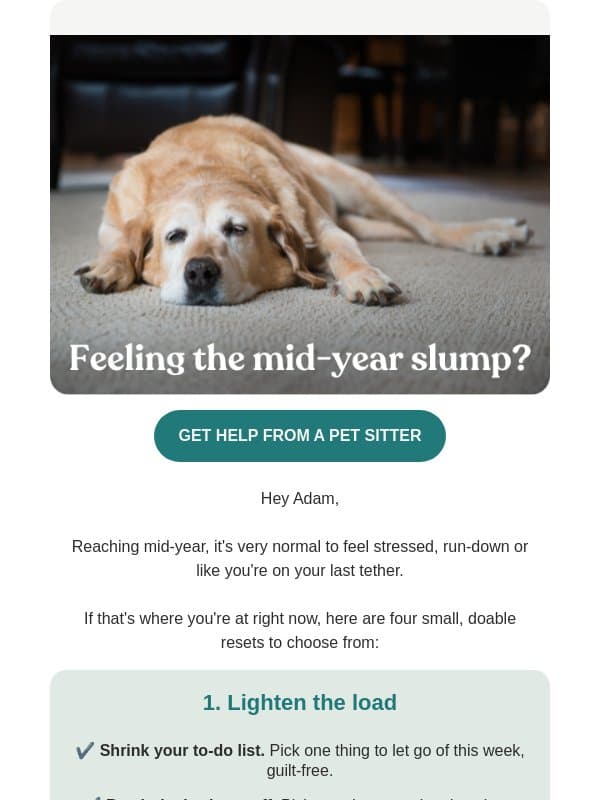 4 ways to curb mid-year burnout email from Mad Paws