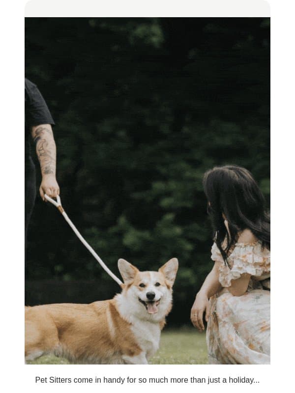 Weddings, parties...anything and everything! email from Mad Paws