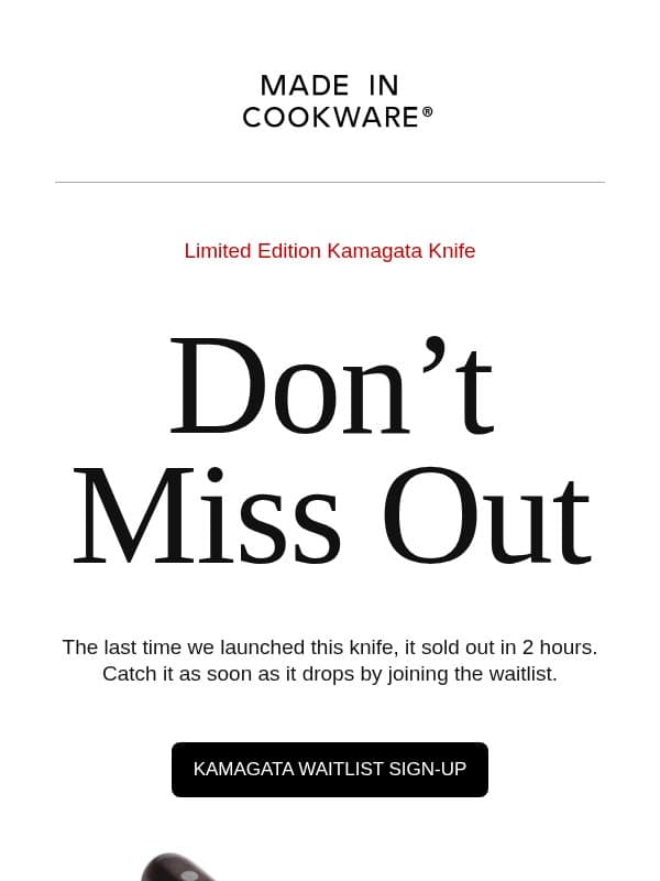 Last Chance to Get First Access email from Made In