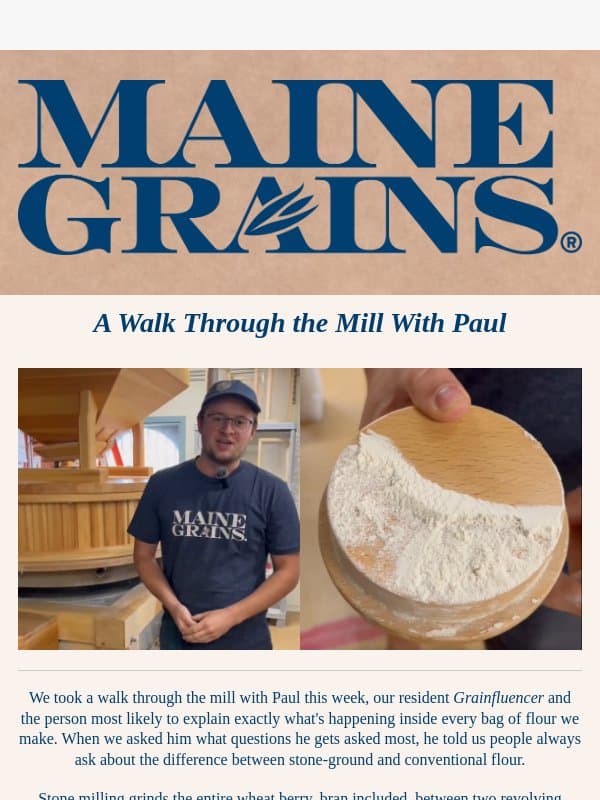 What's the difference between stone-ground and conventional flour? 🌾 email from Maine Grains