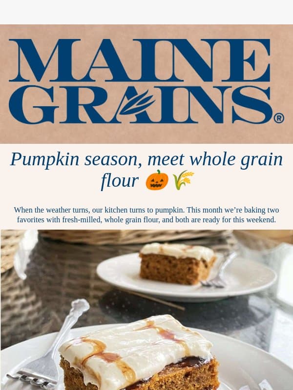Two pumpkin bakes and a bagel showdown email from Maine Grains