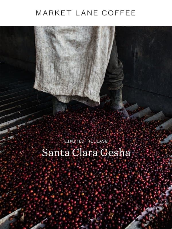 A new limited release coffee email from Market Lane Coffee