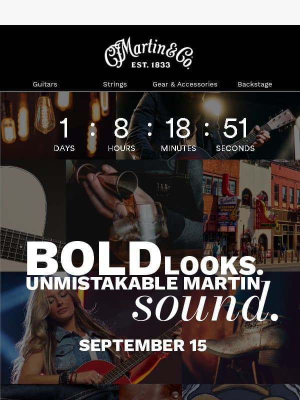 Bold Looks. Unmistakable Sound. email from Martin Guitar
