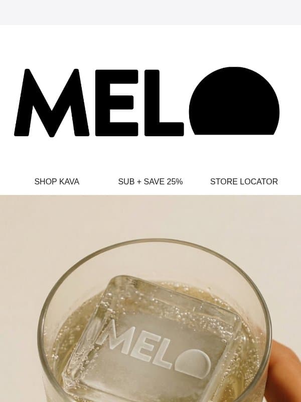 What people say after their first can email from Melo