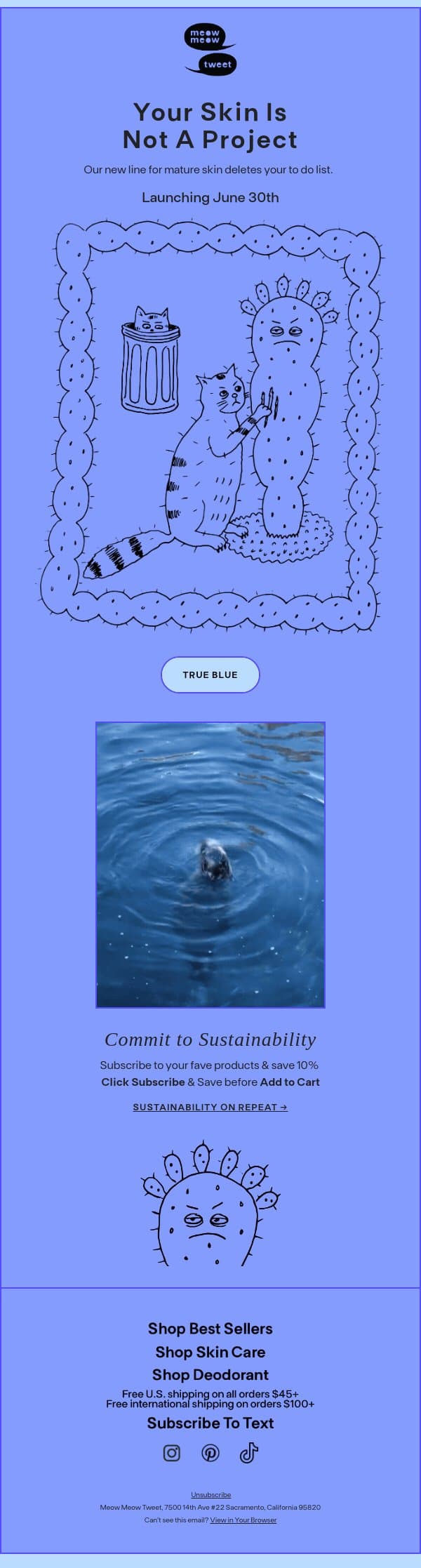 Something New. Something Blue.💎🌀🫐💙🥶 email from Meow Meow Tweet screenshot