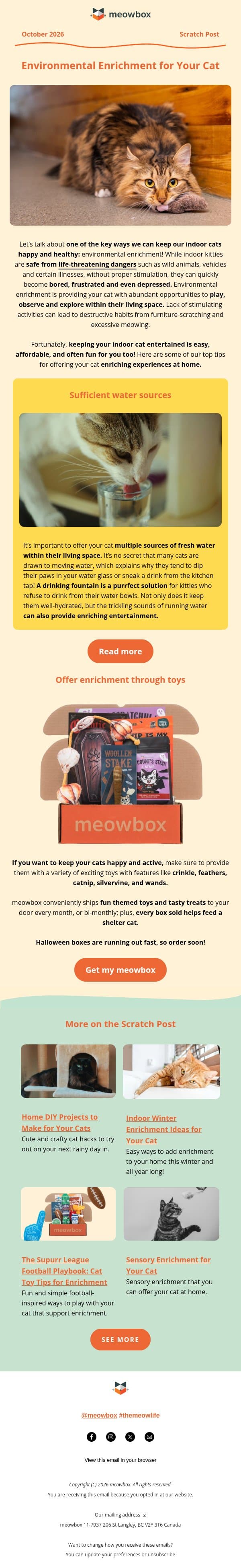 Easy ways to catify your home this fall π±π email from MeowBox screenshot