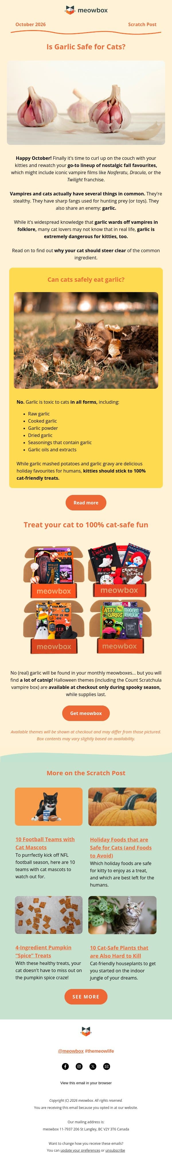 What Do Cats and Vampires Have in Common? πββ¬π§ email from MeowBox screenshot