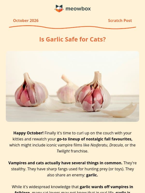 What's scary to cats AND vampires? 🐈⬛🧛🏻♂️ email from MeowBox