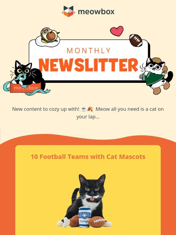 Cats on the football field??! π email from MeowBox