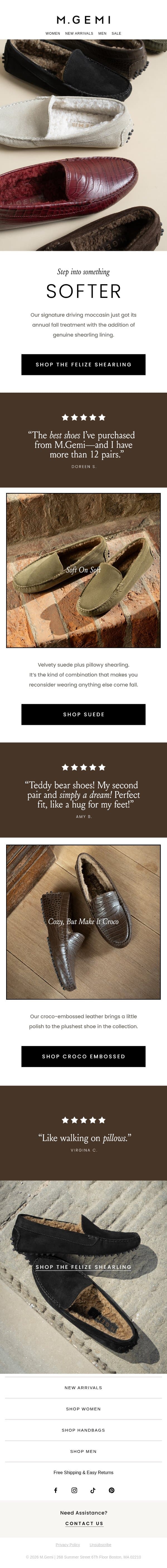 The Coziest Felize Is Back email from M.Gemi screenshot
