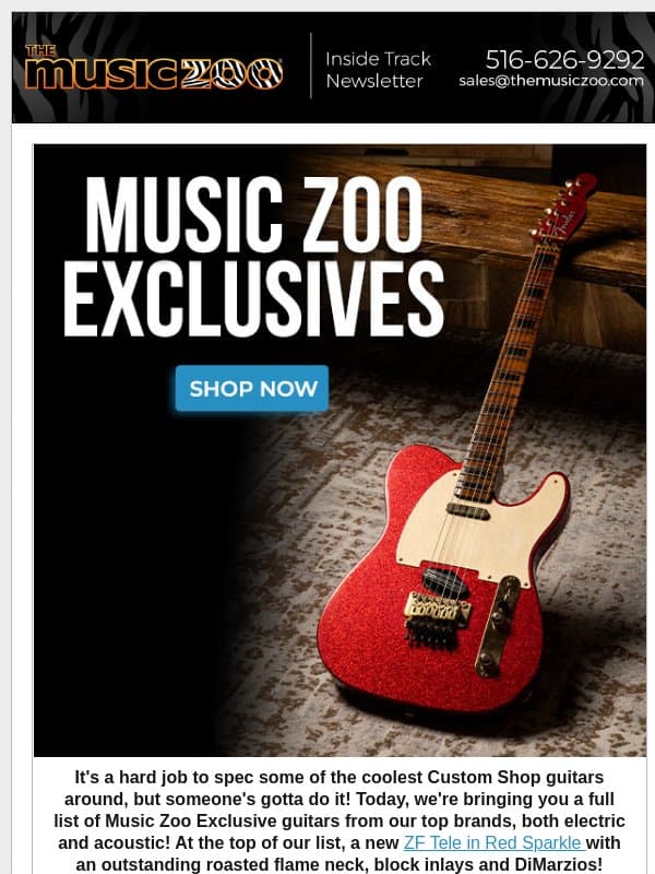 Time To Brag: Our Coolest Music Zoo Exclusive Guitars! email from Music Zoo