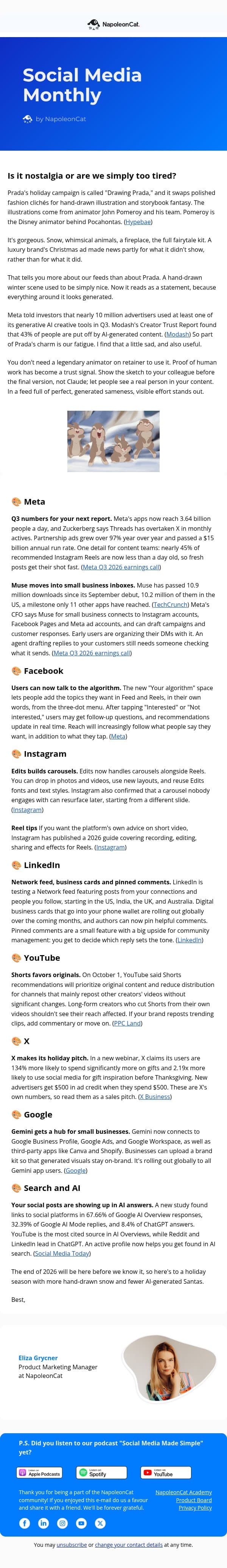 🎨 Social Media Monthly - October email from NapoleonCat screenshot