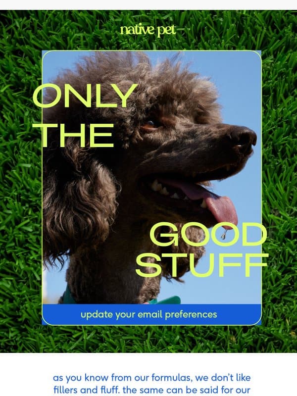 we miss you, friend email from Native Pet