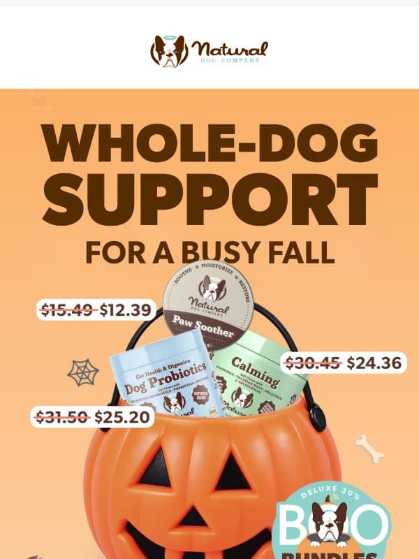 Meet the Boo Bundles email from Natural Dog Company