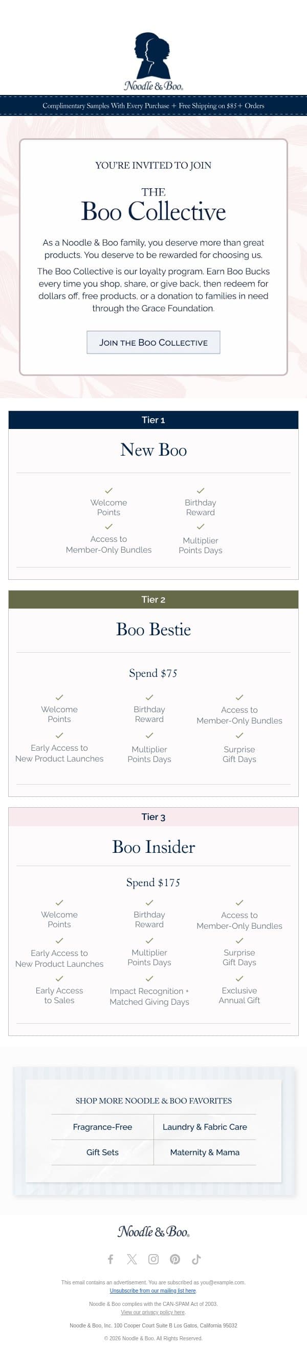 Introducing the Boo Collective 🤍 email from Noodle & Boo screenshot