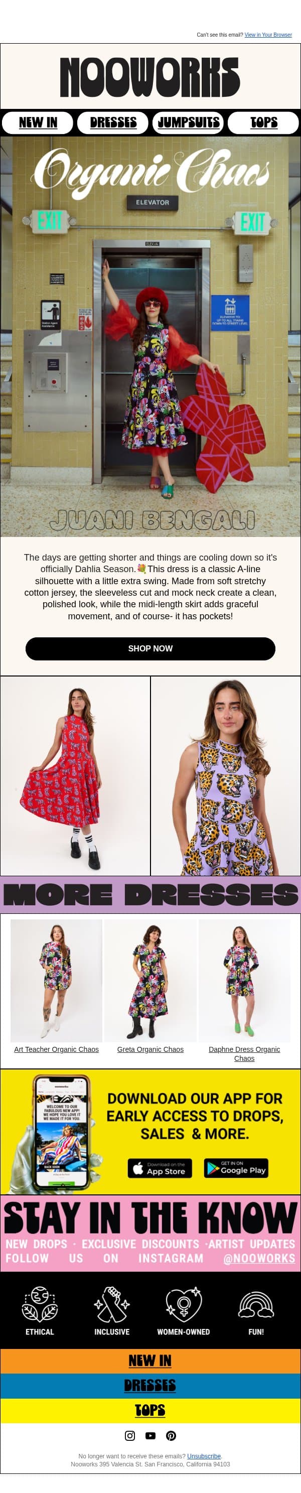 Dahlia season is here 😍 email from Nooworks screenshot