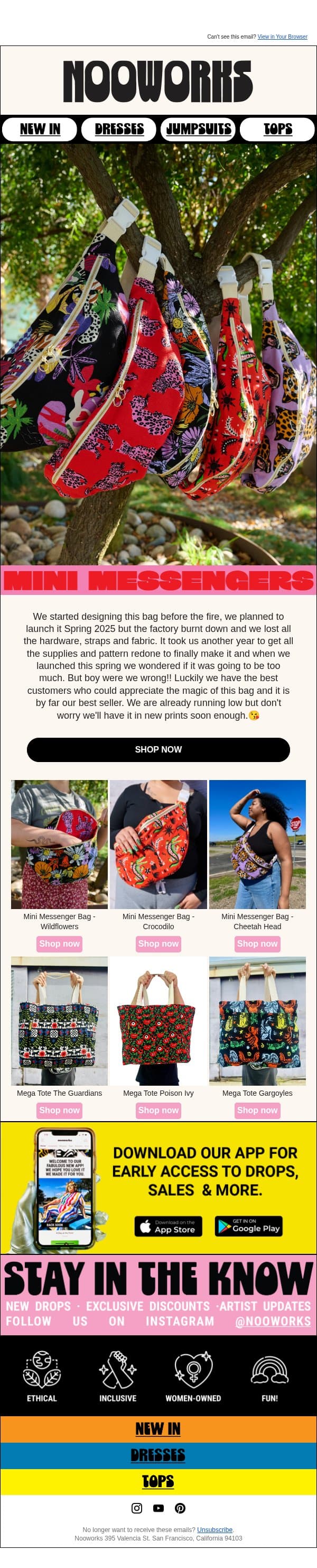 Have you met our most popular bag? π email from Nooworks screenshot