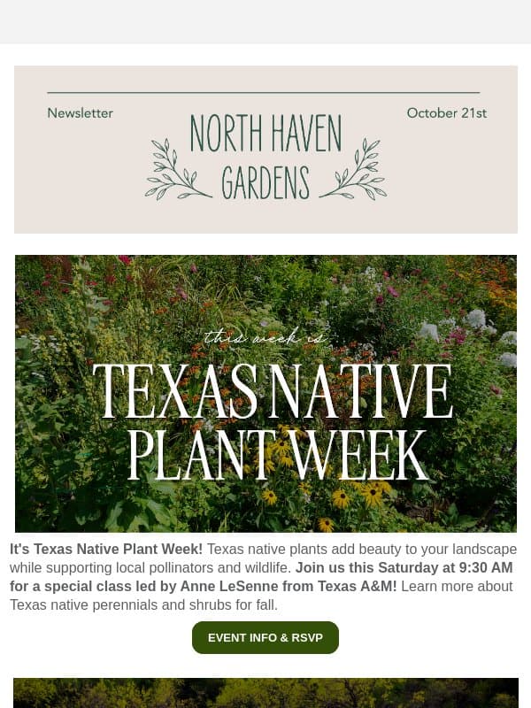 It's Texas Native Plant Week! email from North Haven Gardens
