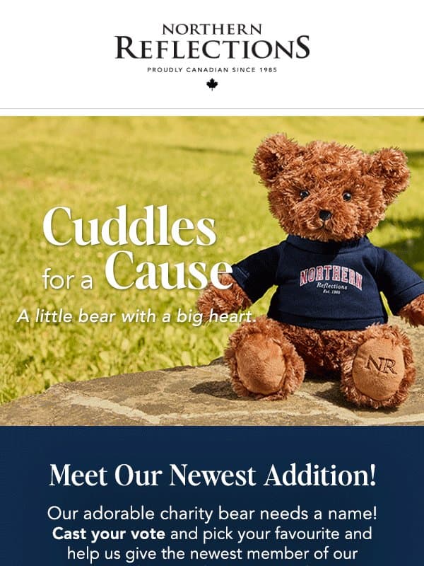 Cast Your Vote For A Good Cause! email from Northern Reflections