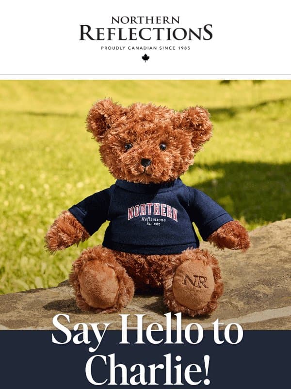 Our BEAR-y Special NR Newcomer is Here! email from Northern Reflections