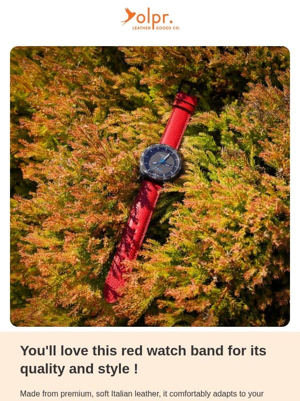 The Perfect Watch Band for Your Watch ! email from OLPR