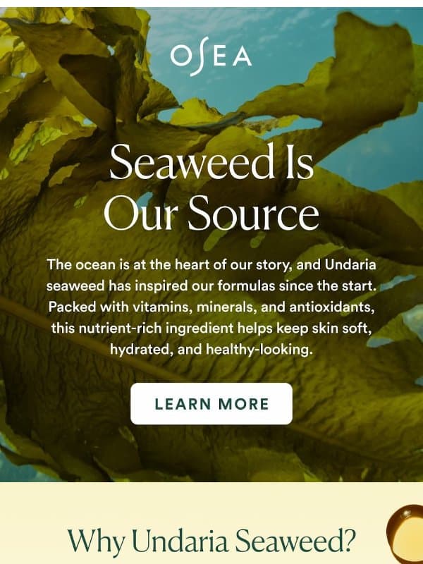 Seaweed-Powered Since Day One 🌿 email from OSEA