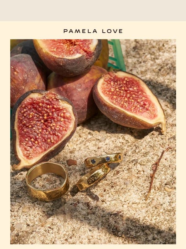 Scorpio season email from Pamela Love