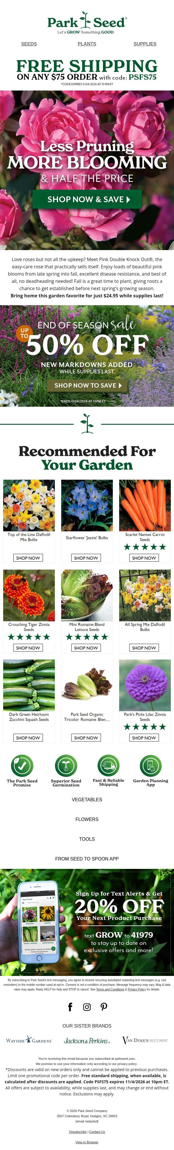 A Knockout Rose at a Knockout Price! (Hint: 50% OFF) email from Park Seed screenshot