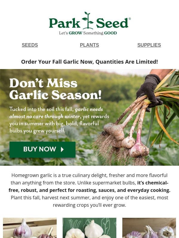 π§ββοΈ VAMPIRES BEWARE: Garlic is Limited & Ready to Ship! email from Park Seed