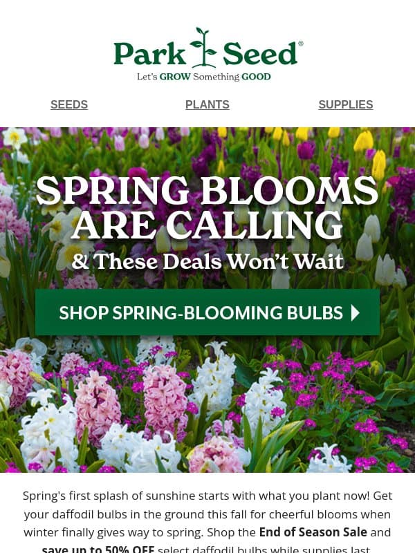🌼 Up to 50% OFF! email from Park Seed