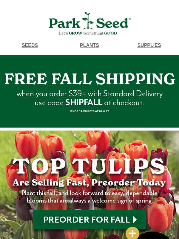 🌷Bunches of Bulbs, Big Spring Energy email from Park Seed