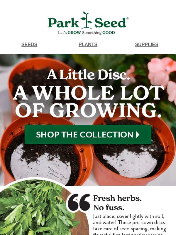 Sow Easy, Saturday! (with extra savings inside) email from Park Seed
