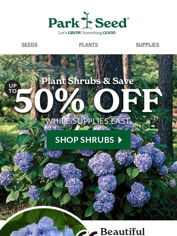 BIG Shrub Savings—Up to 50% OFF! email from Park Seed