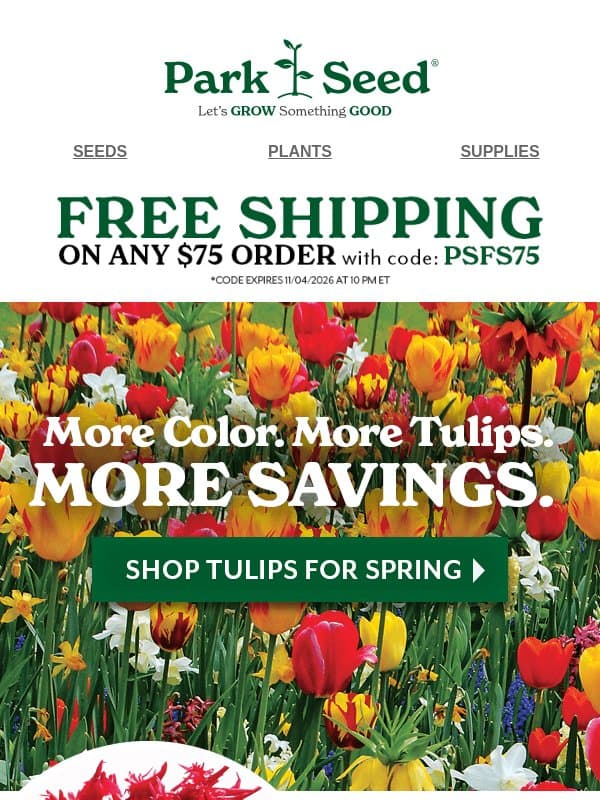 🌷More Tulips. BIGGER Savings. End of Season Sale! email from Park Seed