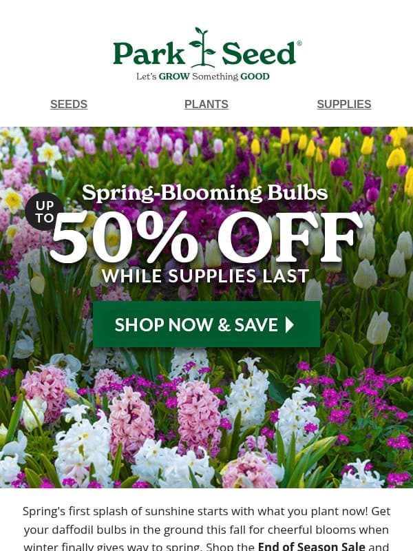 🌷 Dig In up to 50% OFF Spring Bulbs email from Park Seed