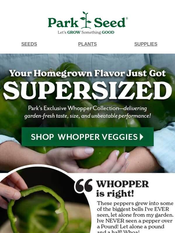 Ready for a Record-Breaking Garden?🍅 email from Park Seed