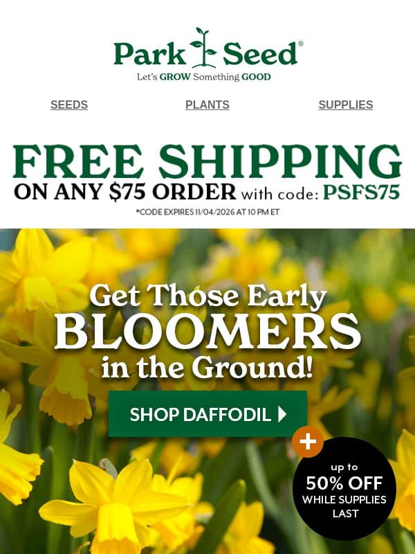 Daffodil Deals: up to 50% OFF! email from Park Seed