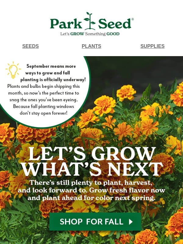 The Fall Planting Window is Open! email from Park Seed