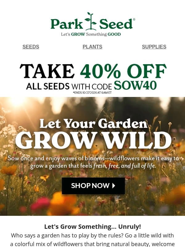 Wild About Wildflowers & 40% OFF?! Shop Now to Save! email from Park Seed