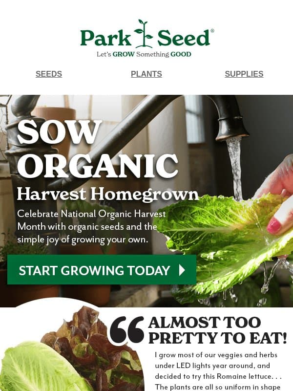 🌱 Make Room for Something Organic email from Park Seed