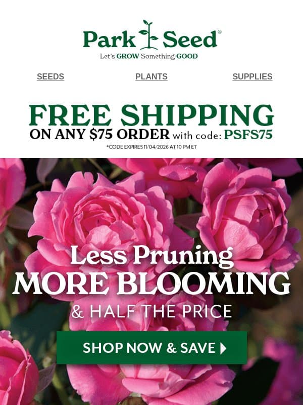 A Knockout Rose at a Knockout Price! (Hint: 50% OFF) email from Park Seed